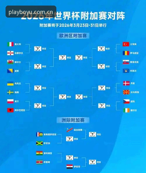 世界杯观赛困局深度解析：从签证风波到赛事体验的全景透视
