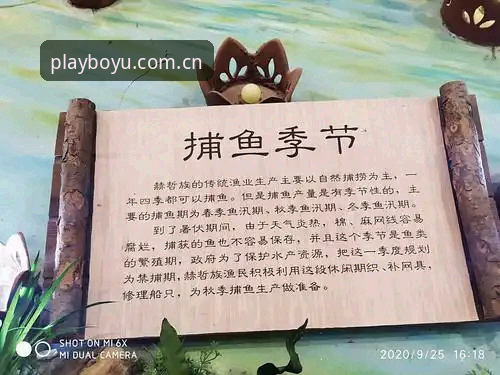 博鱼操作环境iOS版 揭秘博鱼操作环境iOS版:技术评测员眼中的真相与对比分析